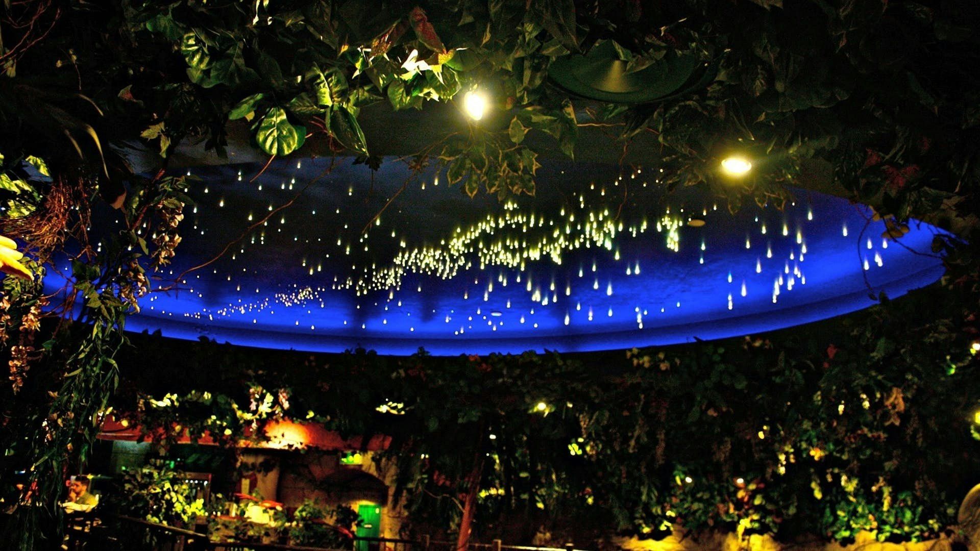 rainforest cafe