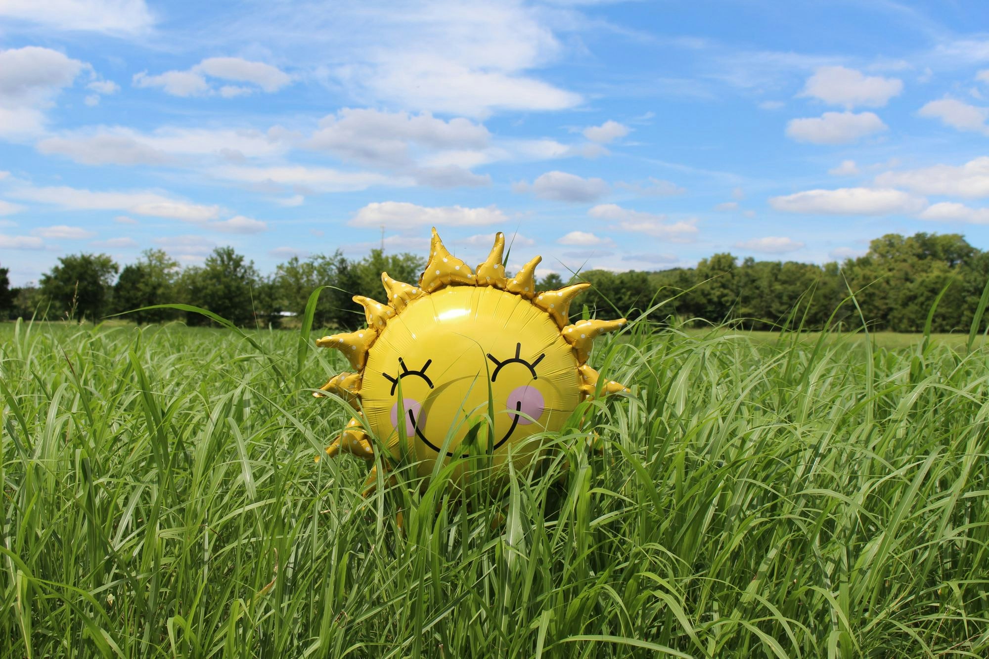 sunshine balloon in grass