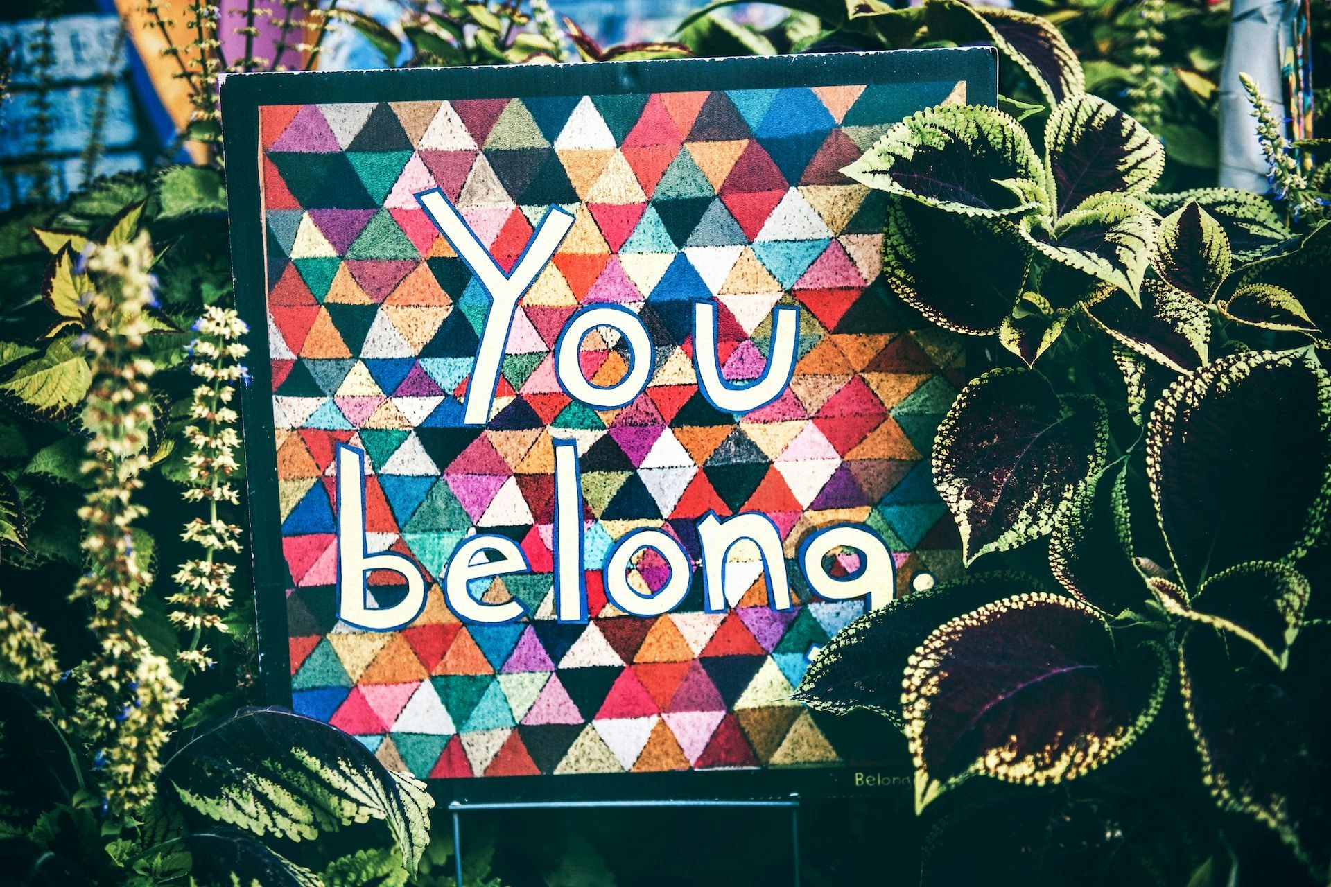 brightly painted sign reading "you belong"