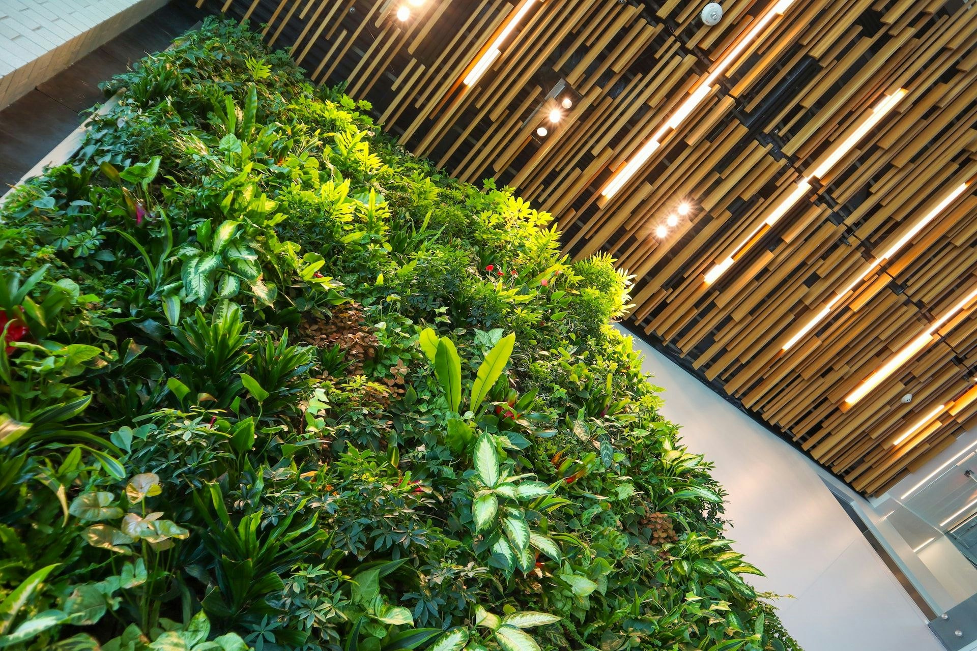 building with a living plant wall