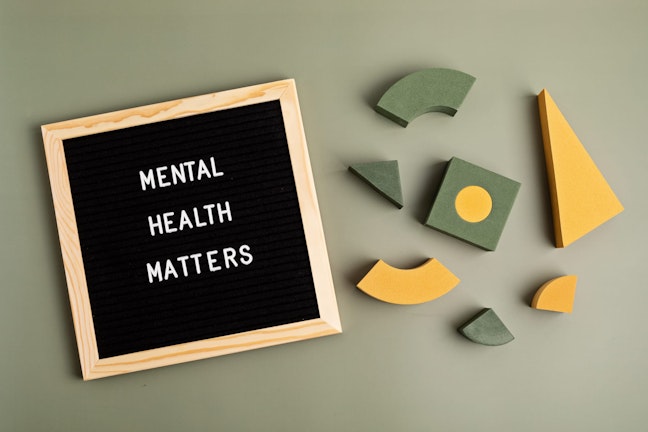 Mental Health Matters on felt board and puzzle chunks