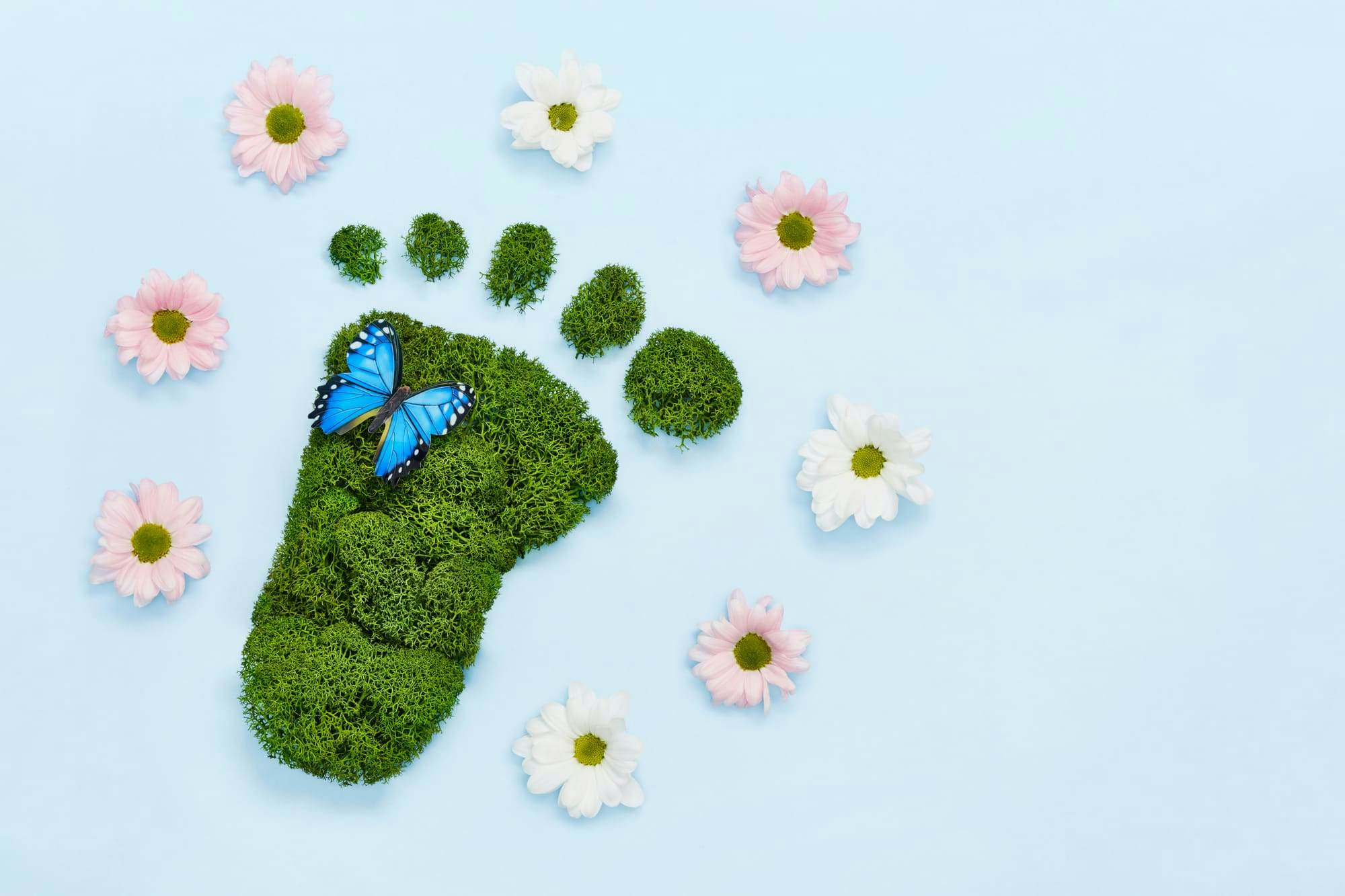 green/grass footprint with flowers around it on blue background