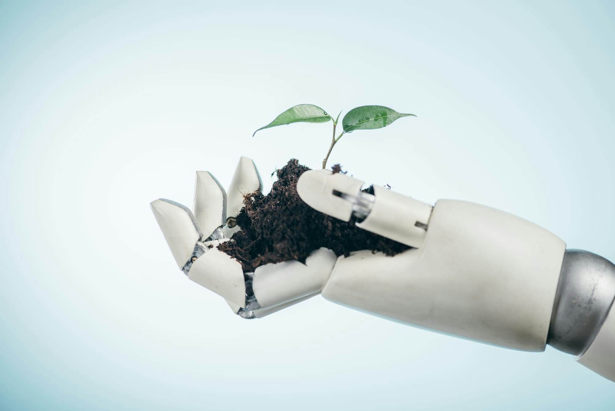 Robot hand holding small sapling